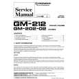PIONEER GM20202 X1H/EW Instrukcja Serwisowa
