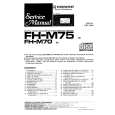PIONEER FHM75 Instrukcja Serwisowa